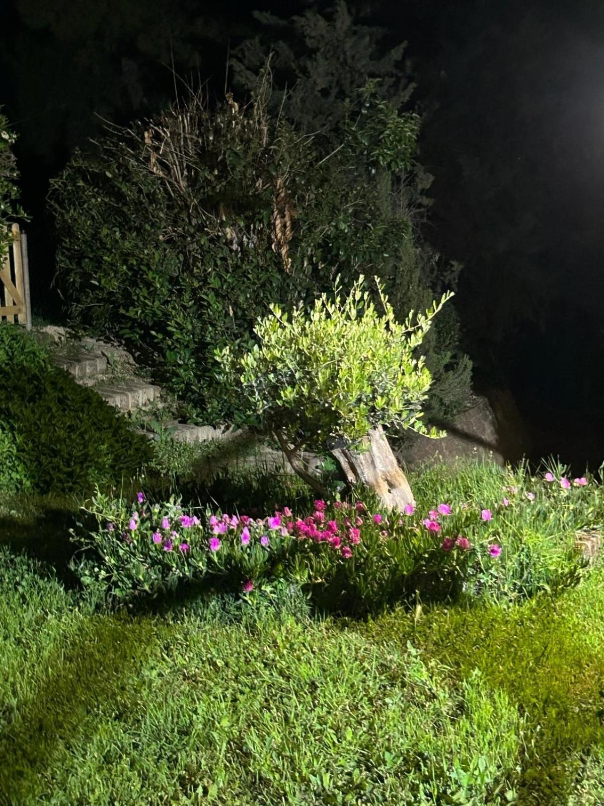 Vila Casalustro Citta Sant'Angelo Exteriér fotografie